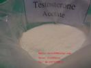 Testosterone Acetate Testosterone Ace 1045-69-8 Sh-Ts002